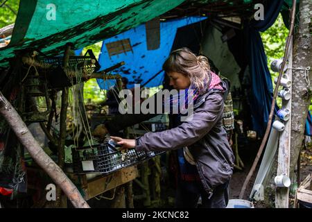 Asien, ein Umweltaktivist, warkt am 25. September 2021 in einer Feldküche in einem beruflichen Protestlager im Wald von Turnicki in der Nähe von Arlamow, Karpaten, im Südosten Polens. Asien gehört zur Wilden Karpaten-Initiative, die ihren beruflichen Protest gegen die Entwaldung des Turnicki-Gebiets der Karpaten für vier Monate fortsetzt. Seit Ende April, als die nationalen Wälder im Rahmen des Waldbewirtschaftungsplans wieder großflächige Waldabschnitte aufnahmen, blockiert die Gruppe die Zugänge zu strategischen Pfaden der Schnittmannschaften. Aktivisten argumentieren, dass dieser Bereich nicht in unde operieren sollte Stockfoto