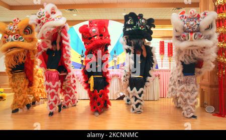 Der Löwentanz wird zur Feier des bevorstehenden Frühlingsfestes (Chinesisches Mondneujahr des Affen) in Mississauga, Ontario, Kanada, am 06. Februar 2016 aufgeführt. Der chinesische Mondkalender weist jedem Jahr in einem 12-Jahres-Zyklus ein Tiersymbol zu. Laut Tierkreis ist 2016 das Jahr des Affen. (Foto von Creative Touch Imaging Ltd./NurPhoto) Stockfoto