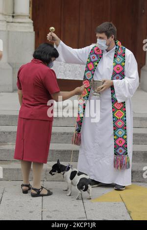 Ein Priester vor der Pfarrei der Heiligen Familie in Colonia Roma, Mexiko-Stadt, segnet eine Frau und ihren Hund anlässlich des Tages des heiligen Franz von Assisi, schutzpatronin der Tiere. Der Legende nach hatte der hl. Franziskus von Assisi ein Geschenk mit Tieren, das im anonymen Text Florecillas de San Francisco aus dem 14.. Jahrhundert zitiert wurde. In dieser Geschichte terrorisierte ein Wolf das Dorf Gubbio und verschlang Tiere und Menschen, bis der heilige Franziskus mit ihm sprach und ihn zu einem Freund machte. Von diesem Moment an lebte der Wolf nach der Überlieferung unter den Menschen, die ihn versorgte und fütterte. (Foto von Gerardo Viey Stockfoto