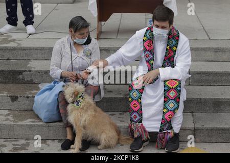 Ein Priester vor der Pfarrei der Heiligen Familie in Colonia Roma, Mexiko-Stadt, segnet anlässlich des Tages des hl. Franziskus von Assisi, des schutzpatrons der Tiere, einen Hund. Der Legende nach hatte der hl. Franziskus von Assisi ein Geschenk mit Tieren, das im anonymen Text Florecillas de San Francisco aus dem 14.. Jahrhundert zitiert wurde. In dieser Geschichte terrorisierte ein Wolf das Dorf Gubbio und verschlang Tiere und Menschen, bis der heilige Franziskus mit ihm sprach und ihn zu einem Freund machte. Von diesem Moment an lebte der Wolf nach der Überlieferung unter den Menschen, die ihn versorgte und fütterte. (Foto von Gerardo Vieyra/NurPhoto Stockfoto