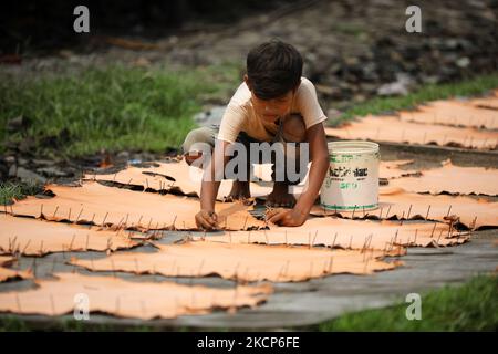 Ein Kinderarbeiter stellt am 06. Oktober 2019 in einer Gerberei in Hazaribag, Dhaka, Bangladesch, Lederstücke auf einem Regal auf, um es trocken zu machen. (Foto von Syed Mahamudur Rahman/NurPhoto) Stockfoto