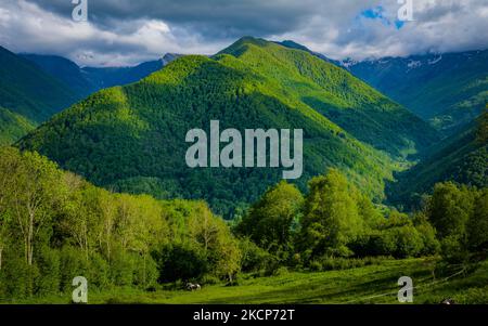 Blick auf das Lez-Tal mit schneebedeckten Gipfeln im Hintergrund an einem wunderschönen Sommertag in den französischen Pyrenäen Stockfoto