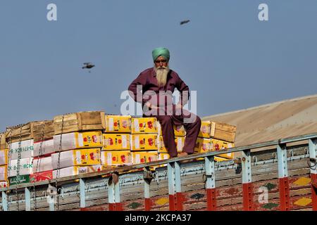 Ein älterer Sikh-Mann wird am 2. 9. Oktober 2021 auf einem beladen Apple-Lastwagen auf dem größten Obst-Mandi Asiens im Sopore-Distrikt Baramulla Jammu und in Kaschmir Indien gesehen (Foto: Nasir Kachroo/NurPhoto) Stockfoto