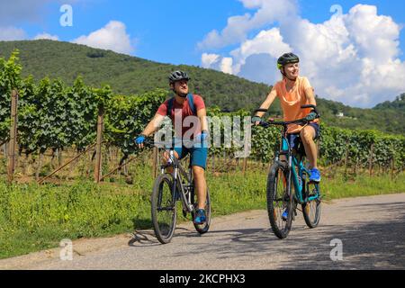 Junges Paar auf einer Fahrradtour in den Weinbergen Stockfoto