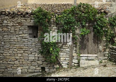 Altes Haus, Fenster und Tür mit Weinrebe Pergola in Vicari Dorf von Westsizilien, Italien Stockfoto