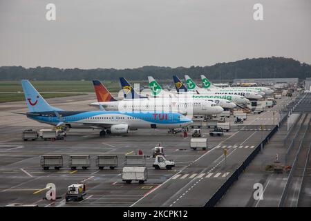 TUI Boeing parkte am Flughafen Eindhoven neben den Flugzeugen SmartLynx, Ryanair und Transavia. TUI Airlines Belgium Boeing 737-800 Flugzeuge fliegen, landen und Rollen am Flughafen Eindhoven EIN EHeh. Das Flugzeug kam aus Oujda Marokko, hat die Registrierung OO-JAY und den Namen Elegance. TUI fly die ehemalige Jetairfly ist eine belgische Linien- und Charterfluggesellschaft, Tochtergesellschaft der TUI Group, des deutschen multinationalen Reise- und Tourismusunternehmens, des größten Freizeitunternehmens der Welt und der TUI Airlines. Eindhoven, Niederlande am 15. Oktober 2021 (Foto von Nicolas Economou/NurPhoto) Stockfoto