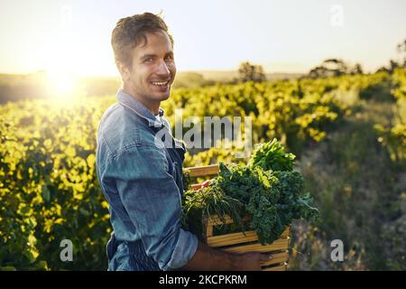 Ich tue es aus Liebe zur Landwirtschaft. Ein junger Mann, der eine Kiste voller frisch gepflückter Produkte auf einem Bauernhof hält. Stockfoto