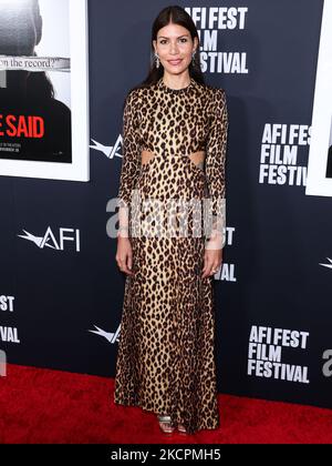 HOLLYWOOD, LOS ANGELES, KALIFORNIEN, USA - 04. NOVEMBER: Dawn Dunning kommt beim AFI Fest 2022 an - Sondervorführung von Universal Pictures' She Said', das am 4. November 2022 im TCL Chinese Theatre IMAX in Hollywood, Los Angeles, Kalifornien, USA, stattfand. (Foto von Xavier Collin/Image Press Agency) Stockfoto