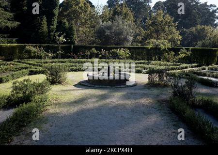 Eine allgemeine Ansicht des Parque De Serralves (Serralves Park) in Porto, Portugal am 17. Oktober 2021. (Foto von Nikolas Kokovlis/NurPhoto) Stockfoto