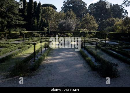 Eine allgemeine Ansicht des Parque De Serralves (Serralves Park) in Porto, Portugal am 17. Oktober 2021. (Foto von Nikolas Kokovlis/NurPhoto) Stockfoto