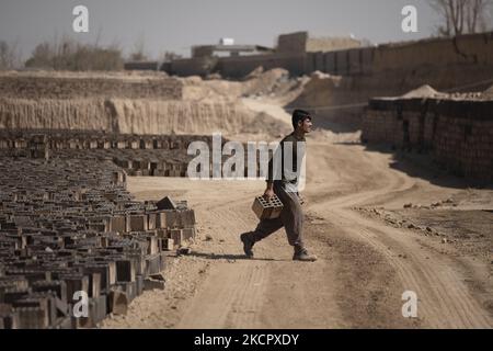 Eine afghanische Flüchtlingsarbeiterin trägt am 16. Oktober 2021 im Gebiet Borkhar im Westen der Stadt Isfahan 439Km (273 Meilen) südlich von Teheran neue Ziegelsteine, die sich anhäufen, nachdem sie aus einem Ofen in einer Ziegelfabrik entfernt wurden. (Foto von Morteza Nikoubazl/NurPhoto) Stockfoto