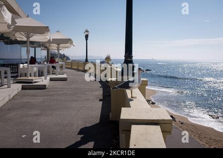 Eine Möwe in der Nähe des Strandes von Matosinhos am 18. Oktober 2021, einer Stadt und einer Gemeinde im nördlichen Stadtteil Porto von Portugal. (Foto von Nikolas Kokovlis/NurPhoto) Stockfoto