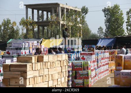 Ein Trader markiert die Transaktionen bei Fruit Mandi in Sovore, Distrikt Baramulla, Jammu und Kashmir, Indien am 20. Oktober 2021. Händler auf dem Obstmarkt sind im zweiten Jahr besorgt, nachdem nicht-einheimische Händler das Tal verlassen haben. Die indischen Behörden haben Tausende von Wanderarbeitern in Kaschmir an sicherere Orte gebracht, während Hunderte nach einer Welle gezielter Tötungen aus dem Kaschmir-Tal geflohen sind. Der größte Teil der Arbeits- und Bauarbeiten in kaschmir wird von nicht-lokalen Arbeitern durchgeführt, die meisten Bauarbeiten sind betroffen, nachdem die Wanderarbeiter das Tal verlassen haben. (Foto von Nasir Kachroo/NurPhoto) Stockfoto