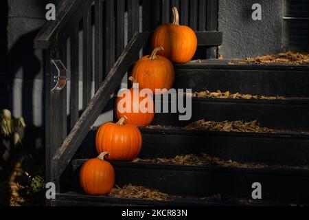 Halloween Dekorationen in Edmonton gesehen. Am Sonntag, den 21. August 2021, in Edmonton, Alberta, Kanada. (Foto von Artur Widak/NurPhoto) Stockfoto