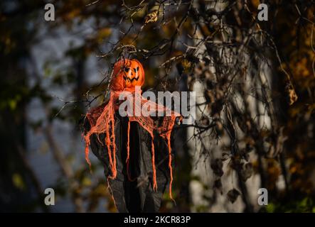 Halloween Dekorationen in Edmonton gesehen. Am Sonntag, den 21. August 2021, in Edmonton, Alberta, Kanada. (Foto von Artur Widak/NurPhoto) Stockfoto