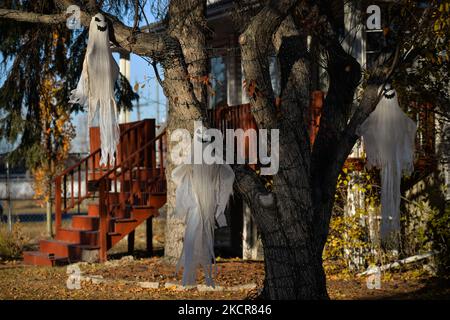 Halloween Dekorationen in Edmonton gesehen. Am Sonntag, den 21. August 2021, in Edmonton, Alberta, Kanada. (Foto von Artur Widak/NurPhoto) Stockfoto