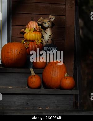 Halloween Dekorationen in Edmonton gesehen. Am Sonntag, den 21. Oktober 2021, in Edmonton, Alberta, Kanada. (Foto von Artur Widak/NurPhoto) Stockfoto