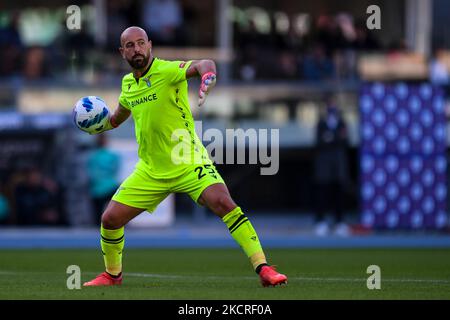 Pepe Reina (SS Lazio) während des Spiels Hellas Verona FC gegen SS Lazio am 24. Oktober 2021 im Marcantonio Bentegodi Stadion in Verona, Italien (Foto: Alessio Marini/LiveMedia/NurPhoto) Stockfoto