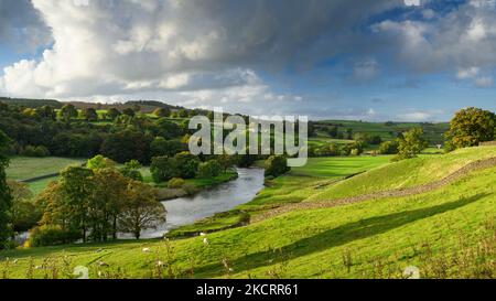 Landschaftlich reizvolle Landschaft im ländlichen Tal (Wasser des Flusses Wharfe, Bauernhöfe, Bäume am Fluss, Steinmauer, Herbstabendsonne) - Yorkshire Dales, England, Großbritannien.