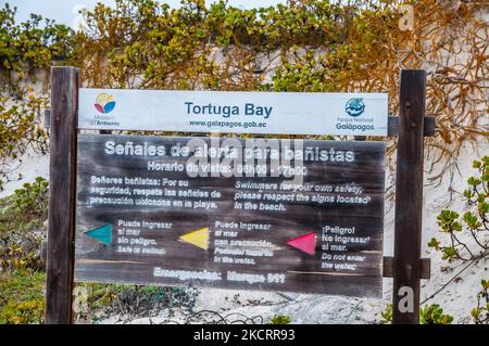 Sicherheitssignale für Schwimmer, Tortuga Bay, Oktober, Santa Cruz, Galapagos-Inseln Stockfoto