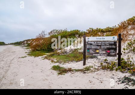 Sicherheitssignale für Schwimmer, Tortuga Bay, Oktober, Santa Cruz, Galapagos-Inseln Stockfoto