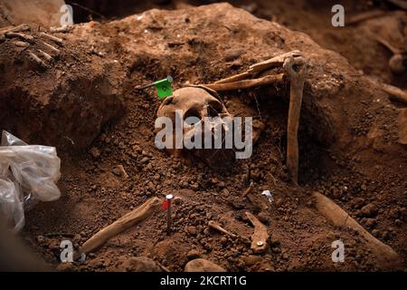 Überreste von Personen, die während des spanischen Bürgerkrieges von Franco-Truppen angeschossen wurden, wurden am 29.. Oktober 2021 in Belchite gefunden. (Foto von Juan Carlos Lucas/NurPhoto) Stockfoto