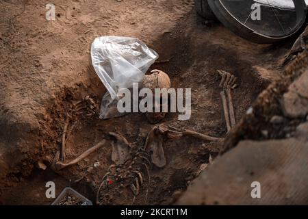 Überreste von Personen, die während des spanischen Bürgerkrieges von Franco-Truppen angeschossen wurden, wurden am 29.. Oktober 2021 in Belchite gefunden. (Foto von Juan Carlos Lucas/NurPhoto) Stockfoto