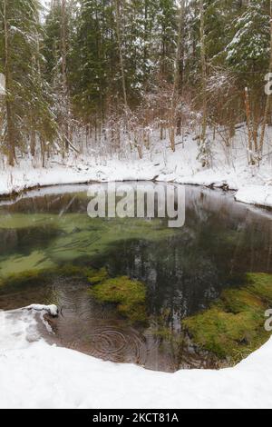 Saula blaue Quellen (siniallikad in Estnisch) bei verschneiten Winter Stockfoto