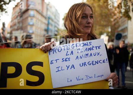 Eine Frau hält ein Plakat mit der Aufschrift „Lasst uns den Planeten und seine Tiere schützen. Es ist dringend erforderlich.“ Mehr als 3500 Menschen demonstrierten in Toulouse für das Klima, wie in vielen Städten in Frankreich und auf der ganzen Welt. Diese Demonstrationen wurden organisiert, als die COP26 in Glasgow (Schottland) begonnen haben, um einen maximalen Druck auf Politiker, Industrien und Compagnies auszuüben. Der IPCC malt einen unlebenswerten Planeten, wenn die Treibhausgasemissionen unvermindert anhalten. Die IEA sagt, dass fossile Brennstoffe von nun an im Boden bleiben müssen (kein neuer Bergbau und keine neuen Bohrungen). Die G20 sagten in einem Kommunique, dass ''Wir verpflichten uns, die Exi anzugehen Stockfoto