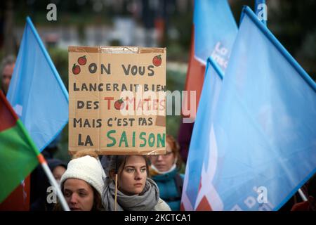 Eine junge Frau hält ein Plakat mit der Aufschrift „Wir hätten euch Tomaten geworfen, aber es ist nicht die richtige Jahreszeit“. Mehr als 3500 Menschen demonstrierten in Toulouse für das Klima, wie in vielen Städten in Frankreich und auf der ganzen Welt. Diese Demonstrationen wurden organisiert, als die COP26 in Glasgow (Schottland) begonnen haben, um einen maximalen Druck auf Politiker, Industrien und Compagnies auszuüben. Der IPCC malt einen unlebenswerten Planeten, wenn die Treibhausgasemissionen unvermindert anhalten. Die IEA sagt, dass fossile Brennstoffe von nun an im Boden bleiben müssen (kein neuer Bergbau und keine neuen Bohrungen). Die G20 sagten in einem Kommunique, dass wir uns verpflichten, uns zu engagieren Stockfoto