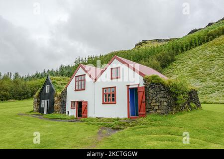 Traditionelle isländische Häuser in Skogar. Dieses Gebiet ist bekannt für den Wasserfall Skogafoss und das Volksmuseum mit traditionellen Gebäuden. Stockfoto