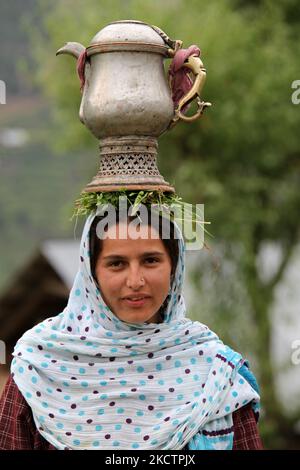 Eine Frau aus Kaschmir trägt einen Samowar auf ihrem Kopf, der mit Kashmiri-Tee gefüllt ist, während sie in den Reisfeldern in Kangan, Kaschmir, Indien, arbeitet. (Foto von Creative Touch Imaging Ltd./NurPhoto) Stockfoto