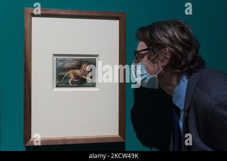 LONDON, VEREINIGTES KÖNIGREICH - 18. NOVEMBER 2021: Ein Mitarbeiter der Galerie blickt auf 'A Lion' (1494) des deutschen Renaissance-Künstlers Albrecht Durer (1471 – 1528) während einer Presseinsicht auf die Credit Suisse Exhibition Dürers Reisen: Reisen eines Renaissance-Künstlers (20. November 2021 – 27. Februar 2022) in der National Gallery, am 18. November 2021 in London, England. (Foto von Wiktor Szymanowicz/NurPhoto) Stockfoto