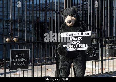 LONDON, VEREINIGTES KÖNIGREICH – 18. NOVEMBER 2021: Ein Protestler von PETA (People for the Ethical Treatment of Animals), der als schwarzer Bär gekleidet ist, hält ein Plakat vor der Downing Street und wirbt für falsche Bärenfellkappen als Ersatz für echte Pelzkappen, die traditionell von den Queen’s Guards am 18. November 2021 in London, England, verwendet werden. (Foto von Wiktor Szymanowicz/NurPhoto) Stockfoto