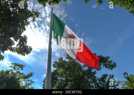 Die Nationalflagge Mexikos während der kurzen Zeremonie des El Día de la Revolucion (Tag der Revolution), einem nationalen Feiertag zum Gedenken an den Beginn der mexikanischen Revolution am 20. November 1910. Aufgrund der Pandemie von Covid-19 wurden die offiziellen Feierlichkeiten zum Tag der Revolution abgesagt. Die Stadt Valladolid war der Ort des „ersten Funkens der mexikanischen Revolution“, auch bekannt als der Dzelkoop-Plan, ein Aufstand, der am 4. Juni 1910 von Maximiliano R. Bonilla und anderen Führern des Unabhängigen Wahlzentrums und der Anti-Reelektionistischen Front begann. Gegen die Diktatur von Präsident Porf Stockfoto