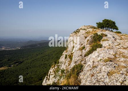 Plan-d'Aups-Sainte-Baume, Frankreich, 22. Juli 2021. Eine allgemeine Ansicht des Massif de la sainte baume vom Col du Pilon. Das Sainte-Baume-Massiv ist wegen seines heiligen Charakters, der mit dem Heiligtum von Sainte Marie-Madeleine verbunden ist, lange vor dem Holzeinschlag bewahrt worden und beherbergt einen herrlichen Buchenwald.(Foto by Emeric Fohlen/NurPhoto) Stockfoto