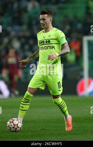 Marco Reus von Borussia Dortmund im Einsatz beim UEFA Champions League-Fußballspiel der Gruppe C zwischen Sporting CP und Borussia Dortmund am 24. November 2021 im Alvalade-Stadion in Lissabon, Portugal. (Foto von Pedro FiÃºza/NurPhoto) Stockfoto