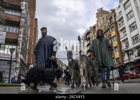 Zwei junge Rancher, begleitet von zwei Eseln und einem Hund, während der Demonstration gegen die Regierung in einer der Hauptstraßen von Oviedo. Asturien. Spanien. Am 2. Dezember 2021. (Foto von Alvaro Fuente/NurPhoto) Stockfoto