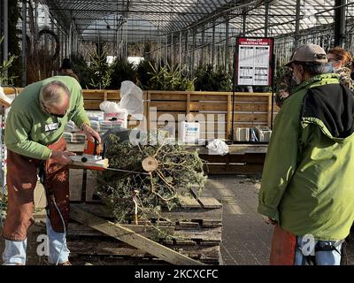 Arbeiter bereitet am 04 2021. Dezember in einem Gartencenter in Unionville, Ontario, Kanada, Weihnachtsbäume vor. Die Kanadier sehen sich in dieser Weihnachtszeit mit einem Mangel an Weihnachtsbäumen konfrontiert, wobei die Nachfrage nach Weihnachtsbäumen im zweiten Jahr der COVID-19-Pandemie hoch ist und in diesem Jahr weniger Bäume angebaut werden. Baumfarmen kämpfen damit, mit der steigenden Nachfrage Schritt zu halten, und ungünstige Wetterereignisse haben die Menge an frischen, lebendigen Weihnachtsbäumen, die in dieser Saison verfügbar sind, weiter eingeschränkt. (Foto von Creative Touch Imaging Ltd./NurPhoto) Stockfoto