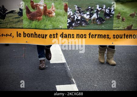 Auf dem Banner steht: „Glück ist auf unseren Farmen“. Mehrere Organisationen wie FNE (France Nature Environnement), das Kollektiv Lescout (das gegen einen Mega-Betrieb mit mehr als 200.000 Hühnern kämpft), der Gewerkschaftsbund Paysanne veranstalteten in Toulouse einen marsch, der gegen die obligatorische Sperrung von Geflügel aufgrund der Vogelgrippe-epizootischen Krankheit durch die französische Regierung protestierte. Die Demonstranten erklärten, dass die Grippe in der Intensivhaltung ansteckender sei als in der extensiven Landwirtschaft. Sie behaupten auch, dass diese obligatorische Sperre die extensive Geflügelzucht töten wird. Sie erklärten in einem Open-Air-Markt t Stockfoto