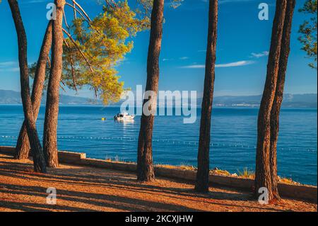 Malerisches Meer Adriaküste von Kroatien. Blick auf das Kap Jadran. Türkisfarbenes Mittelmeer und felsige Küste mit immergrünen Nadelbäumen. Schöner Klo Stockfoto