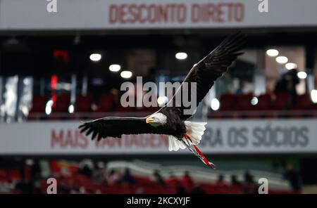 Vitoria Eagle während des Allianz Cup-Spiels zwischen SL Benfica und SC Covilha im Estadio da Luz am 15. Dezember 2021 in Lissabon, Portugal. (Foto von Paulo Nascimento/NurPhoto) Stockfoto