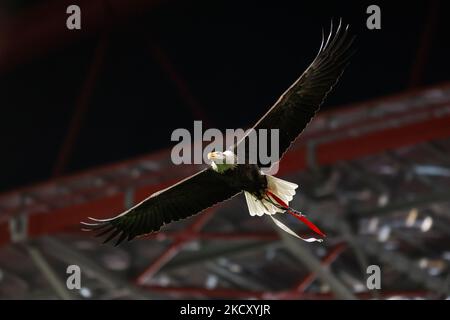 Vitoria Eagle während des Allianz Cup-Spiels zwischen SL Benfica und SC Covilha im Estadio da Luz am 15. Dezember 2021 in Lissabon, Portugal. (Foto von Paulo Nascimento/NurPhoto) Stockfoto