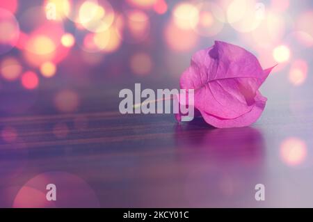 Bougainvillea Blume Hintergrund. Bokeh-Hintergrund mit Platz für Text. Verschwommenes Nahaufnahme-rosa Farbe blühende Bougainvillea Blume Backgrou Stockfoto