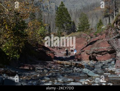 Blick auf den Red Rock Parkway, der 15 km durch hügelige Graslandschaften das Blakiston Valley hinauf führt und am Red Rock Canyon im Waterton Lakes National Park endet. Am Dienstag, den 5. Oktober 2021, in Waterton, Alberta, Kanada. (Foto von Artur Widak/NurPhoto) Stockfoto