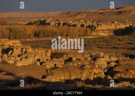 Der Writing-on-Stone Provincial Park bewahrt spektakuläre Badlands, Uferhabitate und Graslandschaften entlang des Milk River. Die Landschaften von Writing-on-Stone haben spirituelle Bedeutung für die Schwarzfußmenschen. Die Petroglyphen und Piktografen auf den Sandsteinfelsen des Parks sind als Erbe dieser spirituellen Verbindung geschützt. Am Mittwoch, den 6. Oktober 2021, in Milk River, Alberta, Kanada. (Foto von Artur Widak/NurPhoto) Stockfoto