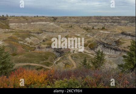 Malerische Aussicht auf den Horseshoe Canyon, eine Region von Badlands, umgeben von einer Prärie, etwa 17 Kilometer (11 Meilen) westlich von Drumheller Town, entlang des Highway 9. Am Mittwoch, den 29. September 2021, in Drumheller, Alberta, Kanada. (Foto von Artur Widak/NurPhoto) Stockfoto