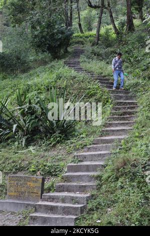 Der Lepcha-Mann reist über eine Treppe durch den Dschungel und verbindet das Dorf Barfok mit Dzongu in Sikkim, Indien. Treppen wie diese sind für die Verbindung der vielen kleinen Dörfer, die im dichten Dschungel in Nord-Sikkim verstreut sind, unerlässlich. Wege wie diese dauern oft Stunden und sind die einzige Möglichkeit, von und zu den Dörfern in dieser abgelegenen Gegend zu gelangen. (Foto von Creative Touch Imaging Ltd./NurPhoto) Stockfoto