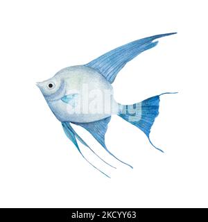 Tropischer Fisch, im Aquarellstil isoliert auf weißem Hintergrund. Angelfisch für Banner, Poster, Print, Postkarte, Textil, Vorlage, Karte unter Wasser Stockfoto