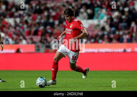 Paulo Bernardo von SL Benfica in Aktion beim Fußballspiel der Portugiesischen Liga zwischen SL Benfica und FC Pacos Ferreira am 9. Januar 2022 im Luz-Stadion in Lissabon, Portugal. (Foto von Pedro FiÃºza/NurPhoto) Stockfoto